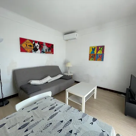 T2 Climatise Au Coeur De Banyuls-sur-mer, Proche - Fr-1-309-29 * 바뉼쉬르메르